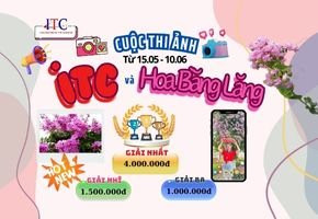 Cuộc thi ảnh Online 