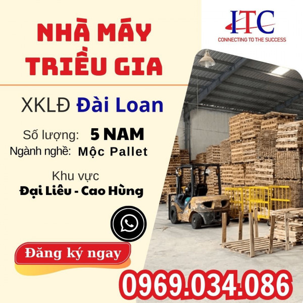 NHÀ MÁY MỘC PALLET TRIỀU GIA KHU ĐẠI LIÊU - CAO HÙNG