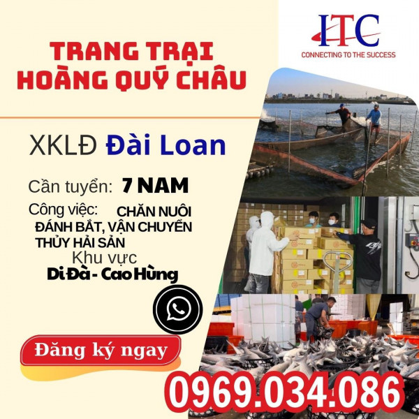 TRANG TRẠI NUÔI CÁ HOÀNG QUÝ CHÂU DI ĐÀ - CAO HÙNG 