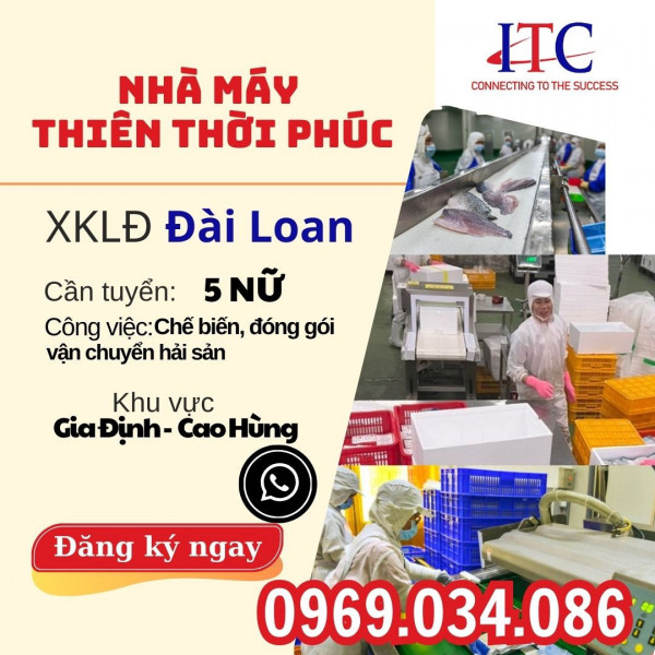 NHÀ MÁY THIÊN THỜI PHÚC [NỮ] GIA ĐỊNH - CAO HÙNG 